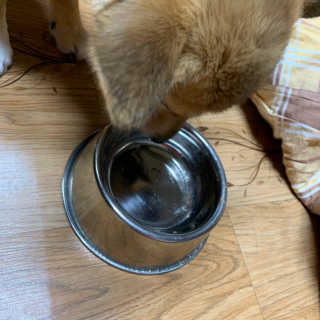 세일러튜리님이 올린 리뷰 사진 2