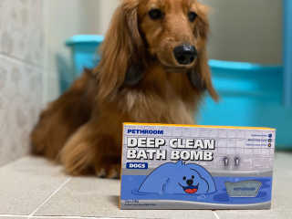 Pethroom 페스룸 PETHROOM DEEP CLEAN BATHBOMB 페스룸 딥클린 배쓰밤 — 5점을 준 리뷰어가 2020년 3월 올린 사용 사진