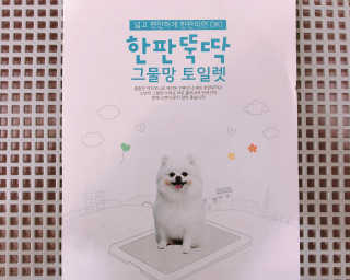 [펫토리아] 한판뚝딱 강아지 배변판 실속형,초대형 — 5점을 준 리뷰어가 2019년 5월 올린 사용 사진