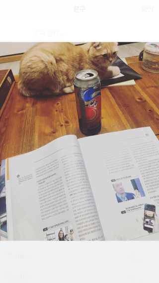붉은여우달꼬리님이 올린 리뷰 사진 1