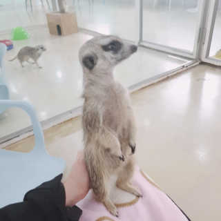 장윤정님이 올린 리뷰 사진 4