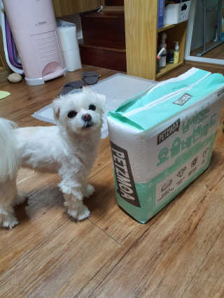 뽀오오옹님이 올린 리뷰 사진 2