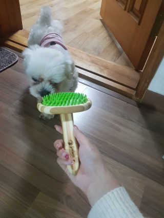 또자님이 올린 리뷰 사진 1