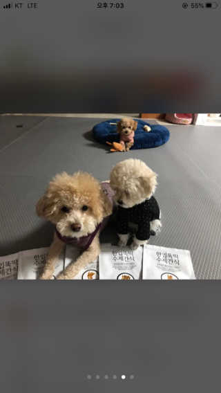 서주나님이 올린 리뷰 사진 3