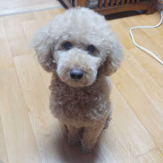 songyn님이 올린 리뷰 사진 4