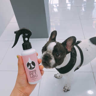 김미니님이 올린 리뷰 사진 2