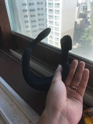 잘쓸자신있거든여님이 올린 리뷰 사진 3