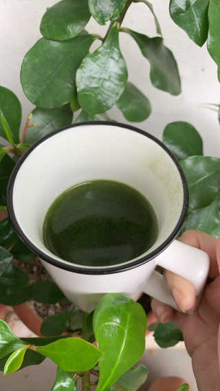 Delish Organics 뽕나무 잎 — 5점을 준 리뷰어가 2020년 1월 올린 사용 사진