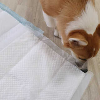 ㅈㅎ님이 올린 리뷰 사진 1