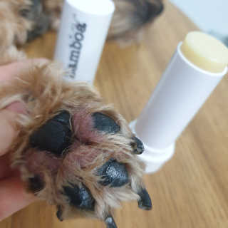 Rooloo님이 올린 리뷰 사진 2