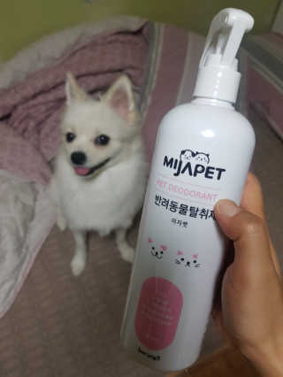 문근영실😊님이 올린 리뷰 사진 2