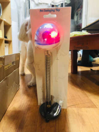 곽현정님이 올린 리뷰 사진 1