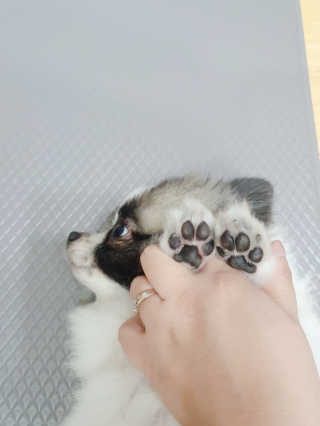 코콩님이 올린 리뷰 사진 3