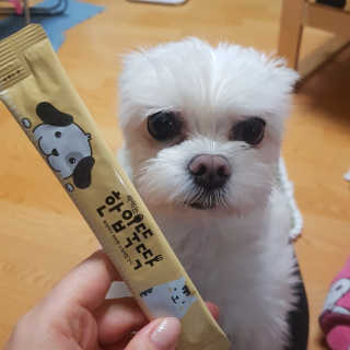 [펫토리아] 강아지,고양이겸용 짜먹는 한입뚝딱 — 4.5점을 준 리뷰어가 2019년 1월 올린 사용 사진