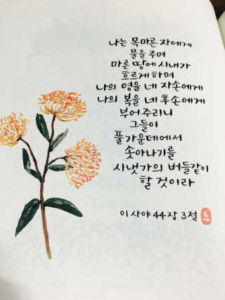 이성열님이 올린 리뷰 사진 3