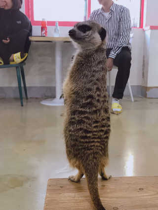 sue님이 올린 리뷰 사진 3