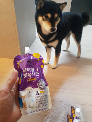닥터할리펫밀크 8종 — 4.5점을 준 리뷰어가 2020년 1월 올린 사용 사진