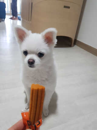 러블님이 올린 리뷰 사진 1