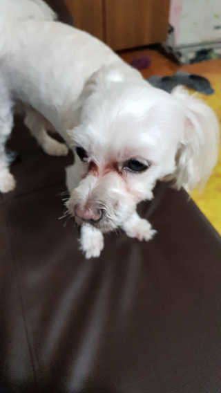 김서하님이 올린 리뷰 사진 4