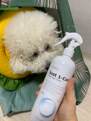 [펫토리아] 뚝딱케어 강아지 고양이 다목적세정제 — 5점을 준 리뷰어가 2020년 2월 올린 사용 사진