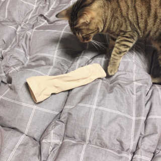 손정영님이 올린 리뷰 사진 3