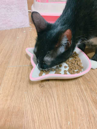 랑이님이 올린 리뷰 사진 3