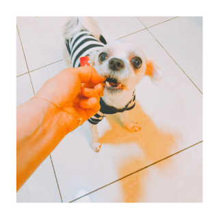유나뀨님이 올린 리뷰 사진 2