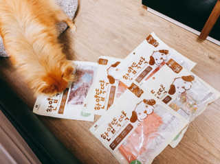 펫토리아 한입뚝딱 국내산 강아지간식 BEST 5종 — 5점을 준 리뷰어가 2019년 5월 올린 사용 사진