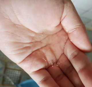 김푸들님이 올린 리뷰 사진 4