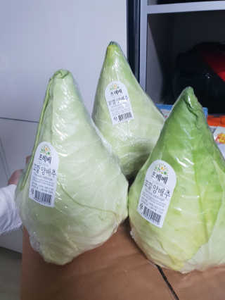 [프레베] 꼬깔양배추 3통 1.8kg 이상 — 5점을 준 리뷰어가 2018년 12월 올린 사용 사진