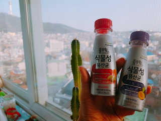 조경아님이 올린 리뷰 사진 1