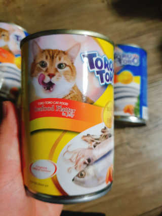 [펫토리아]토로토로 고양이 주식캔 — 5점을 준 리뷰어가 2019년 8월 올린 사용 사진