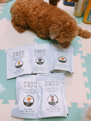 [펫토리아] 한입뚝딱 강아지 수제간식 BEST 5종 — 2.5점을 준 리뷰어가 2019년 2월 올린 사용 사진