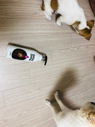 Lily님이 올린 리뷰 사진 2