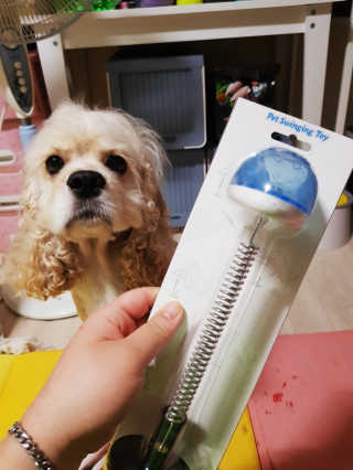 콜보리님이 올린 리뷰 사진 2