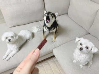 꾸딩님이 올린 리뷰 사진 2