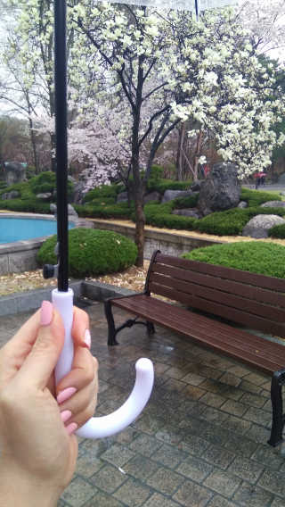 Sarah Chang님이 올린 리뷰 사진 4