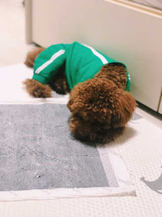 제진영님이 올린 리뷰 사진 1