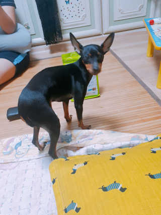 설아님이 올린 리뷰 사진 2