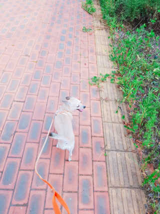 또이o님이 올린 리뷰 사진 3