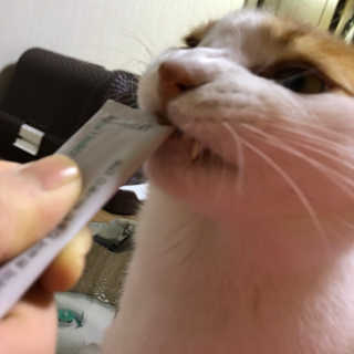 크롱크롱님이 올린 리뷰 사진 1