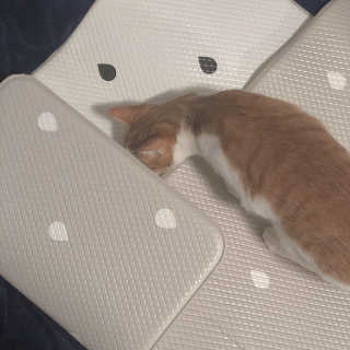 안녕소호님이 올린 리뷰 사진 2