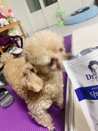 랑이님이 올린 리뷰 사진 2