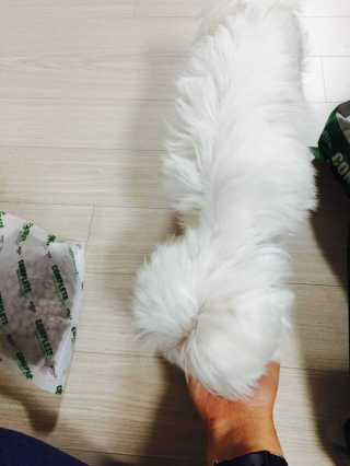 GyeYoungPark님이 올린 리뷰 사진 3