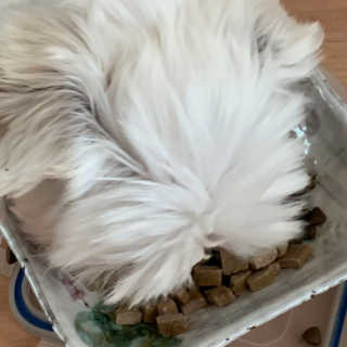 연쥬연쥬님이 올린 리뷰 사진 1