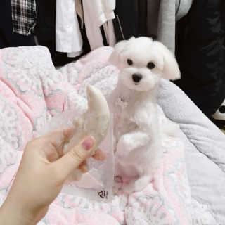 김혜린님이 올린 리뷰 사진 1