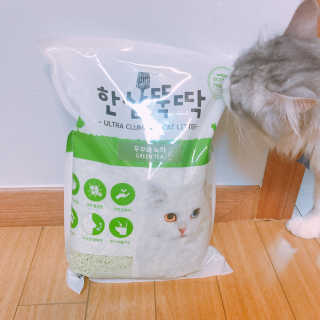 [펫토리아] BEST 고양이두부모래 6L 한삽뚝딱 — 3.5점을 준 리뷰어가 2019년 1월 올린 사용 사진