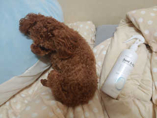 [펫토리아] 뚝딱케어 강아지 고양이 다목적세정제 — 5점을 준 리뷰어가 2020년 2월 올린 사용 사진