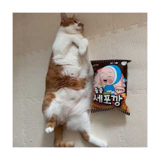 헬로샤샤님이 올린 리뷰 사진 2