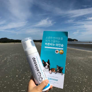 규빈띵쏘님이 올린 리뷰 사진 1